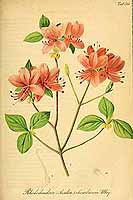  no thumbnail available