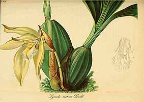  no thumbnail available