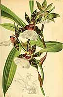  no thumbnail available