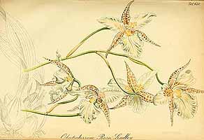  no thumbnail available