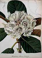  no thumbnail available