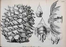  no thumbnail available