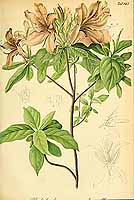  no thumbnail available