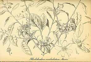  no thumbnail available