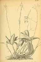  no thumbnail available