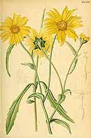  no thumbnail available