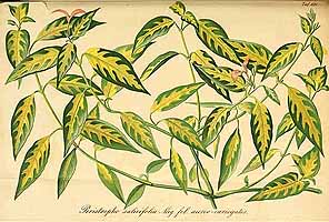  no thumbnail available