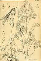  no thumbnail available