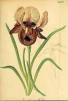  no thumbnail available