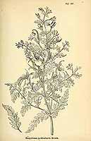  no thumbnail available