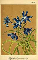  no thumbnail available