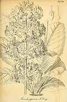  no thumbnail available