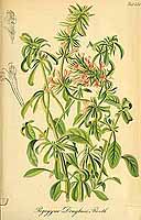  no thumbnail available