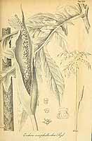  no thumbnail available