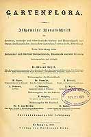  no thumbnail available