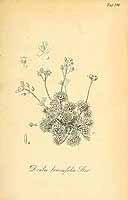  no thumbnail available