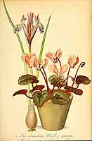  no thumbnail available