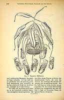  no thumbnail available