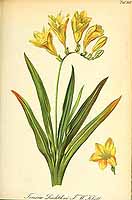  no thumbnail available