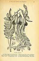  no thumbnail available