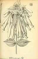  no thumbnail available