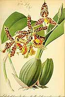  no thumbnail available