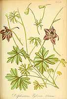  no thumbnail available