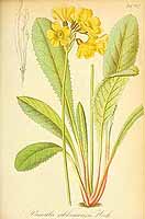  no thumbnail available