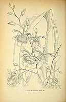  no thumbnail available