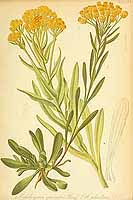  no thumbnail available