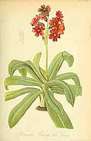  no thumbnail available