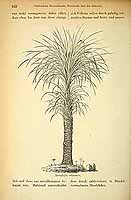  no thumbnail available