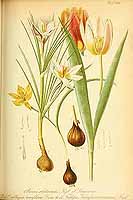  no thumbnail available