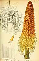  no thumbnail available