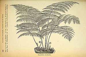  no thumbnail available