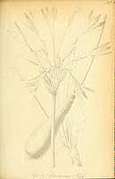  no thumbnail available