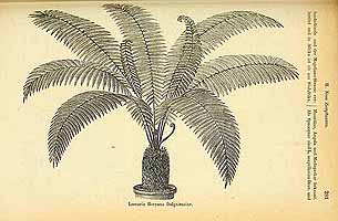  no thumbnail available