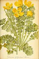  no thumbnail available