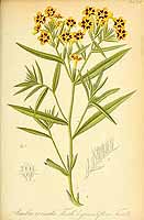  no thumbnail available