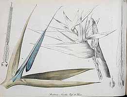  no thumbnail available