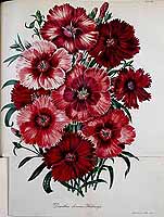  no thumbnail available