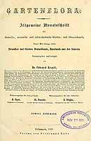  no thumbnail available