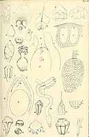  no thumbnail available