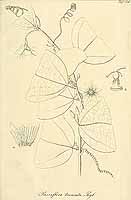  no thumbnail available