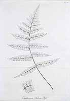  no thumbnail available