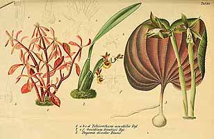  no thumbnail available