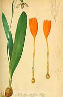  no thumbnail available