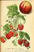  no thumbnail available