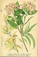  no thumbnail available