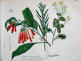  no thumbnail available